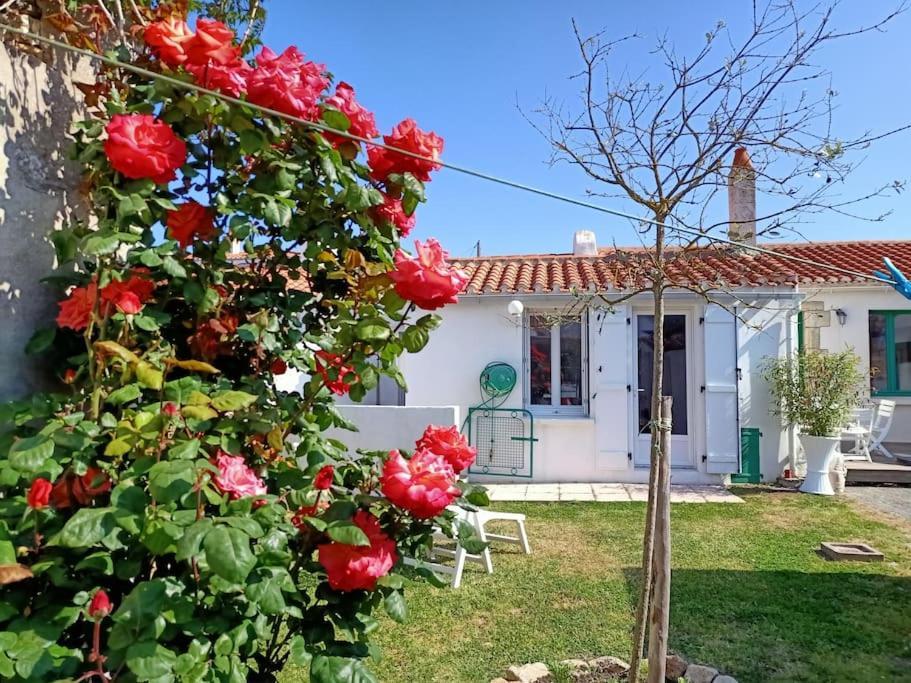 La Maison Du Marin Villa Saint-Gilles-Croix-de-Vie Eksteriør bilde